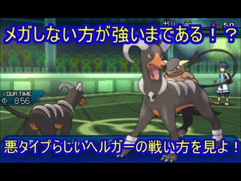 最も検索 ポケモン アルファ サファイア ヘルガー 100 で最高の画像