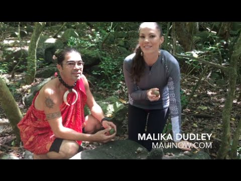 Kawaimaka Explains the Wonders of the Kukui Nut