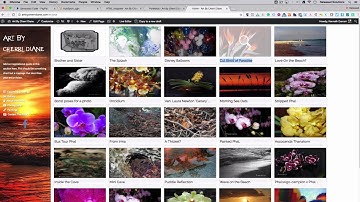 Embed Paypal Button into a Wordpress Website