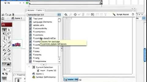 Stop Action in Flash