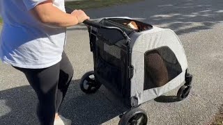 Honest review of the XL dog stroller