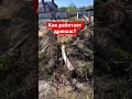 Идеальный Дренаж участка СПб #дача #дренаж #строительство #дачныйвлог #ливневка  spbgaleon.ru