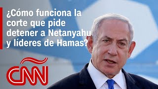 Netanyahu, Putin y líderes de Hamas, bajo la mira: así funciona la Corte Penal Internacional