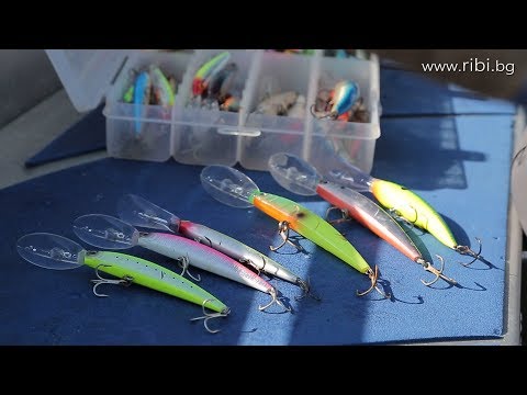 Видео: Как да изберем място за риболов