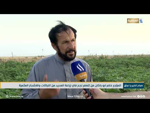المزارع خضر ابو راكان من تلعفر نجح في زراعة العديد من النباتات والاشجار المثمرة تقرير نبيل داوود