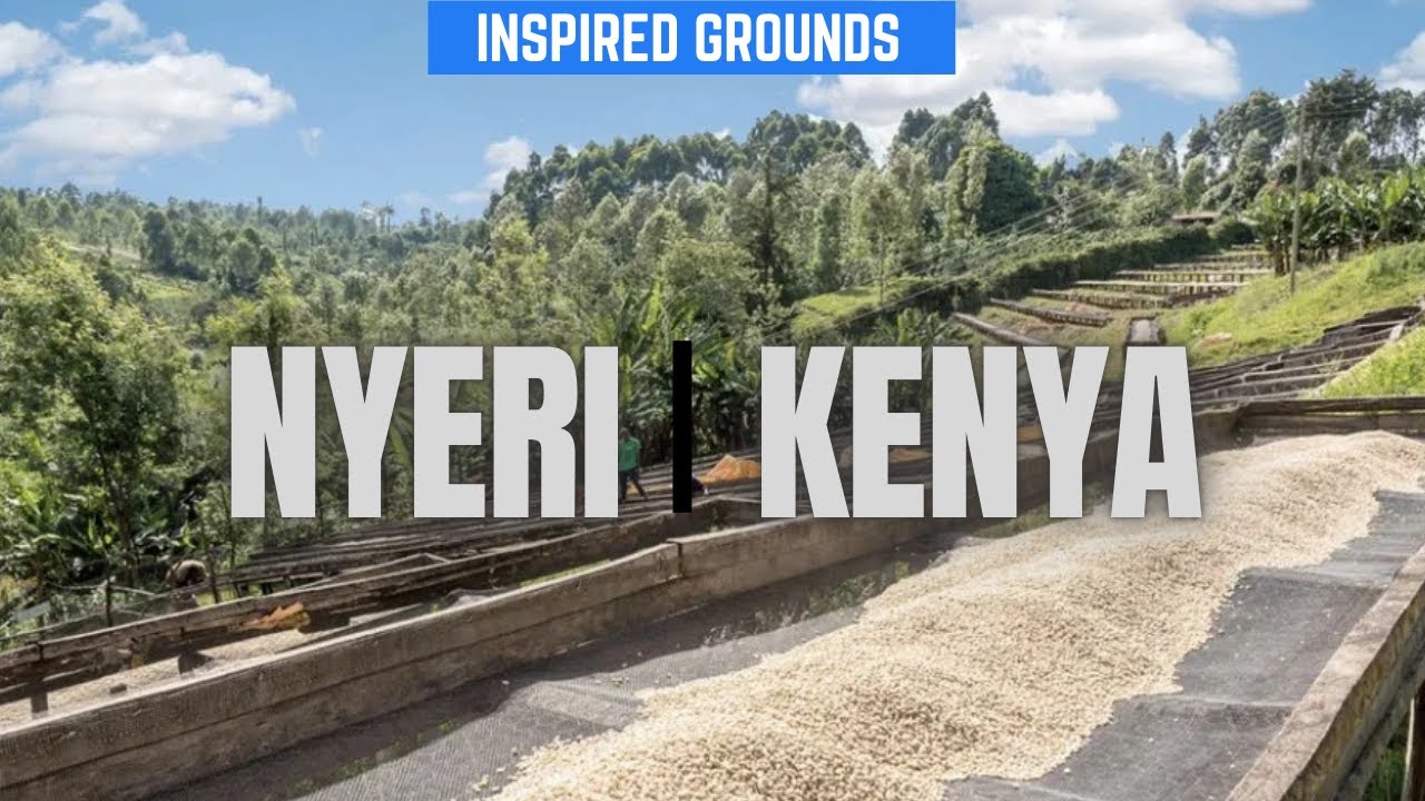 Кофе Ньери Кения