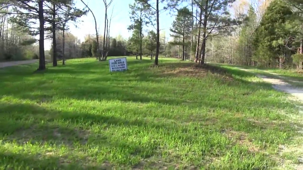 221 acre Farm for Sale in Henry, Tennessee $1445 per acre!! Hunter's Paradise Retirement Home in TN