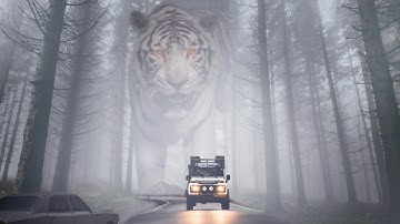 Tiger In The Fog Photoshop Manipulation - Photoshop Tutorial