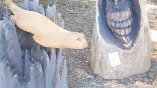 Mckenzie River Chainsaw Festival 2