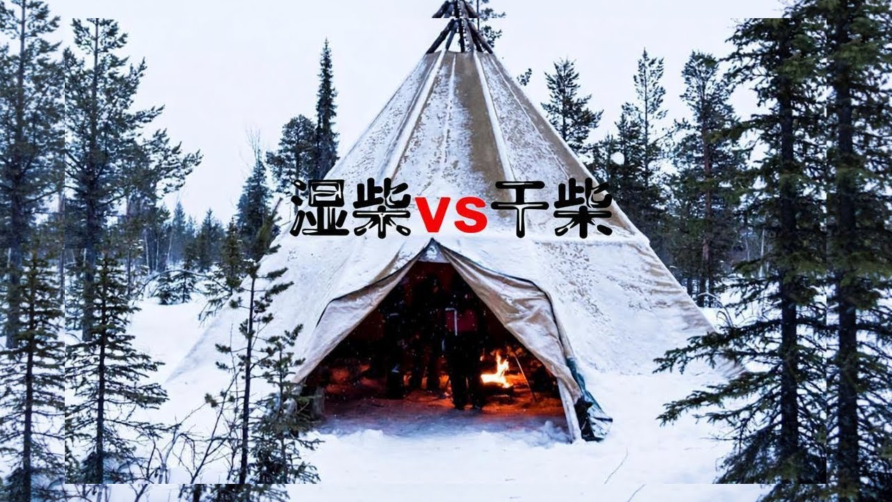 为什么北欧人喜欢用湿柴而不是干柴？湿柴or干柴哪个更好烧？