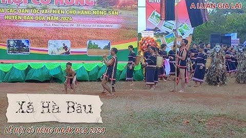 Đội cồng chiêng xã Hà bầu, Đăk đoa, Gia Lai || Lễ hội Cỏ Hồng Đăk Đoa 2024