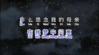 云飞  《 梦中的妈妈 》  meng zhong de ma ma