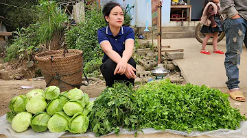 Cabbage Harvest & Coriander Go market sell | Cook pig food | Life in farm.