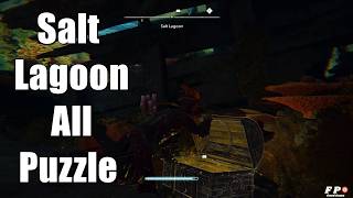Assassins Creed Black Flag Resynced | Salt Lagoon All Puzzle