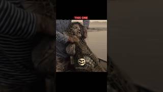 Other fishing vs The last human fish 😰 one #fishing #usa #fish