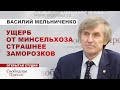 Рекордный урожай зерна разоряет сельчан/ ЧИНОВНИКИ ЗАРАБАТЫВАЮТ МИЛЛИАРДЫ // Мельниченко