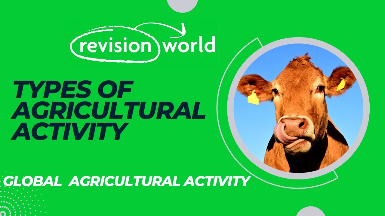 Types of Agricultural Activity - YouTube