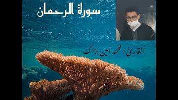 You will listen to it many times اوائل سورة الرحمان بصوت القارئ امين براك