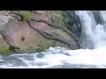 Cobras Pescando, Snakes Fishing Waterfall