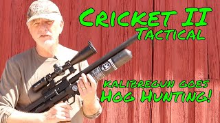 Airgun Hunt: Field Time with the Kalibrgun Cricket II Tactical screenshot 5