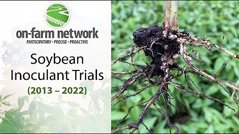 Soybean Inoculation Strategies: On-Farm Network Results (2013-2022)