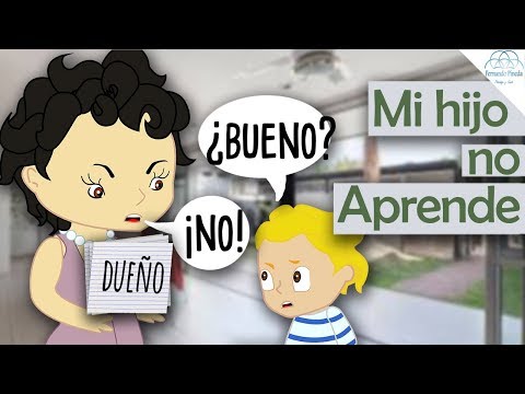 Video: El Niño No Quiere Aprender: Cuál Es La Razón Y Qué Hacer