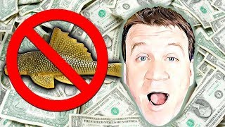 How to sell a $1000 a month Breeding for Profit and its not Fish!