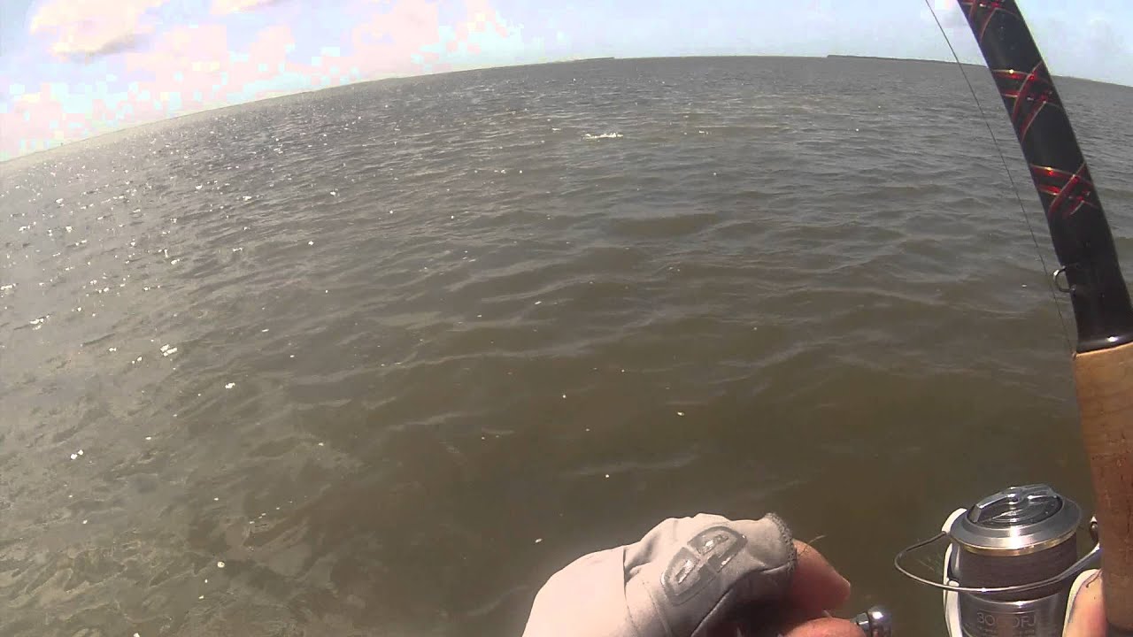 Awe Son Fishing Windy day 8 redfish DOA Shrimp YouTube