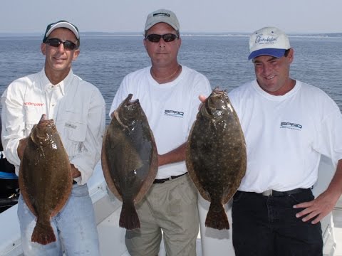 Fluking off of Stamford Connecticut with bucktails in mid August on the TV Show Northeast Angling, See many more videos and photos at www.neangling.com/photogallery.htm