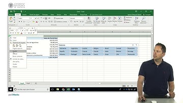 Excel. Tablas dinámicas. Formato del slicer (segmentación de datos) |  | UPV