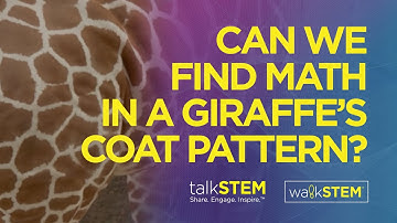 Is there anything mathematical about a visual pattern like the giraffe coat pattern?