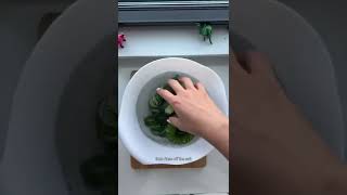 Slinky cucumber salad