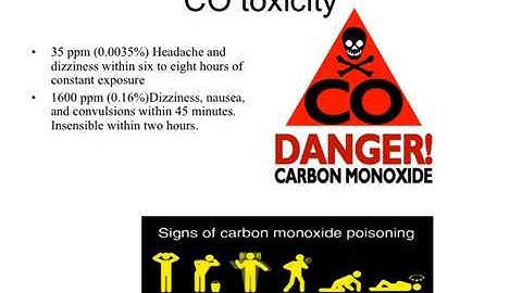 Biology of Ischemia Reperfusion Injury: Implications for Transplantation and Urology