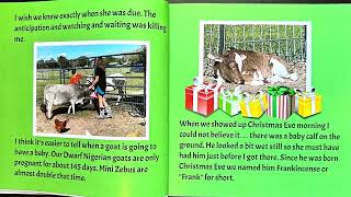 A Calf For Christmas Read Aloud