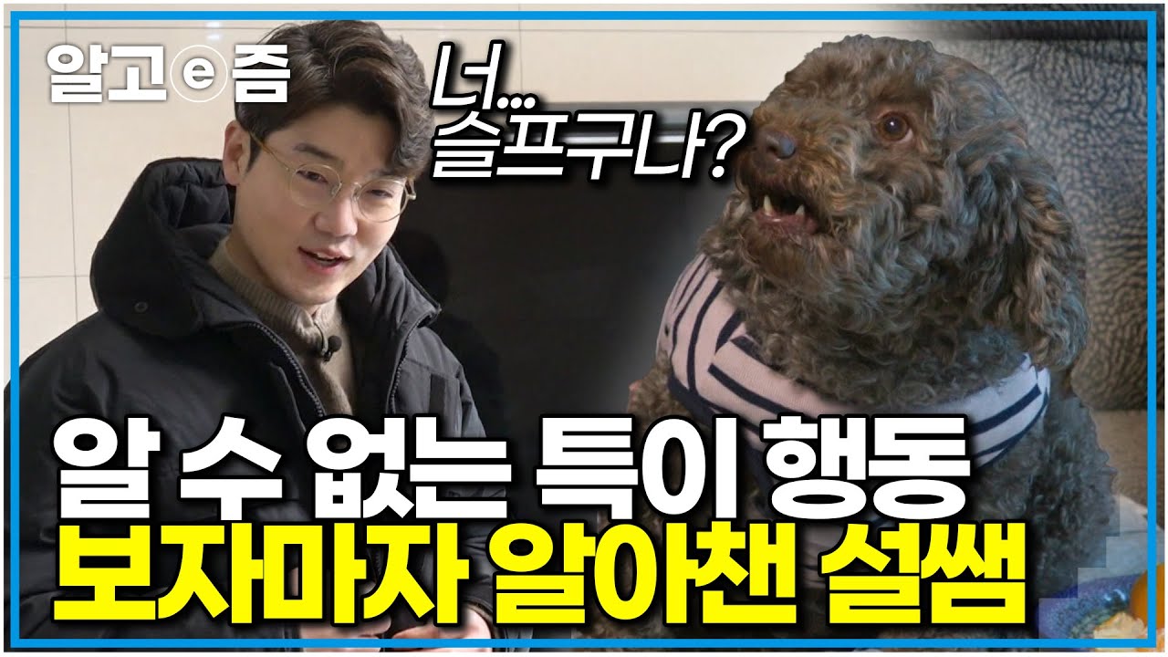 설쌤도 당황한 미스터리 행동… 애교 뒤 숨겨진 강아지의 진짜 속마음｜세상에 나쁜 개는 없다｜알고e즘