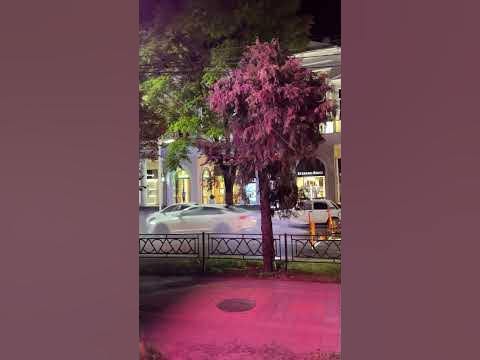 Поливальная машина - YouTube