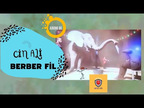 ⛹CİN ALİ | 🐘 BERBER FİL | SİRK GÖSTERİSİ |ANİMASYON