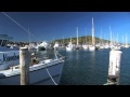 Coffs fish coop tvc