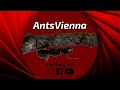 AntsVienna Channel Intro - Ant keeping for you!