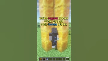 Did you Know? How Honey Blocks Save You From Fall Damage in Minecraft! 🍯