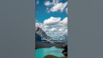 تلاوة هادئة مريحة للاعصاب #تلاوة_خاشعة #قران_كريم #تلاوة_هادئة
