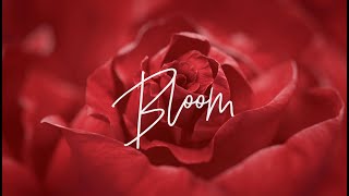 Famous Fifi Koro - Bloom (Official Lyric Video) Profile