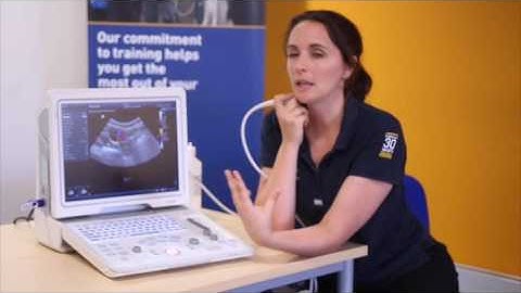 BCF Mindray Z5 ultrasound instructional video - Using Colour Doppler