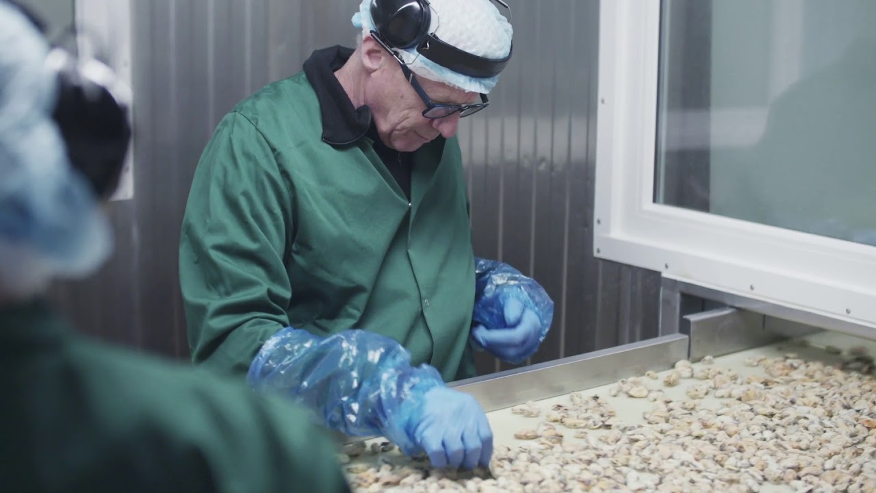 Vilsund Blue Proces Packaging