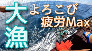 【大漁】水揚げ日本一の漁港 誰もいない最盛期