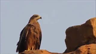 Ancient Qutub Minar and its Monuments, Delhi