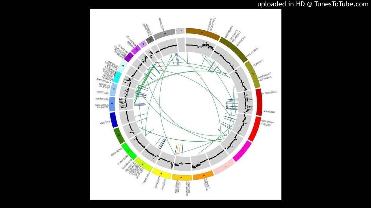 Cancer Genomics and Precision Medicine - YouTube