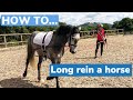 HOW I LONG REIN/TWO LINE ~ Tutorial on how to long rein a horse with Digital Horse| AD