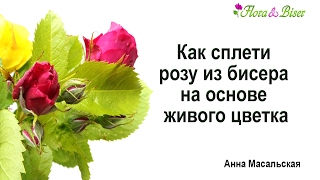 Как сплести розу из бисера на основе живого цветка Как сплести розу из бисера на основе живого цветка