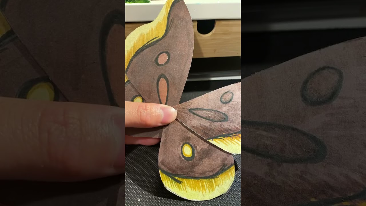 The Beginning of PLUM The Silk MOTH